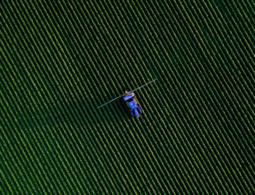 Neuer Megatrend: Künstliche Intelligenz treibt das Wachstum in der Landwirtschaft